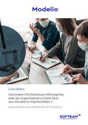 livre blanc architecture entreprise aide organisations